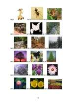 Diplomdarbs 'Spēļu un rotaļu izmantošanas iespējas attieksmes pret dzīvo dabu veidošanā 5–7 g', 48.