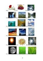 Diplomdarbs 'Spēļu un rotaļu izmantošanas iespējas attieksmes pret dzīvo dabu veidošanā 5–7 g', 49.