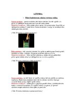 Konspekts 'Badmintona mācīšana un pilnveidošana', 2.