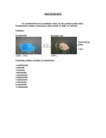 Konspekts 'Dispersās sistēmas', 5.