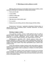 Prakses atskaite 'Uzņēmuma mārketinga izpēte un Stratēģiskā plānošana', 8.