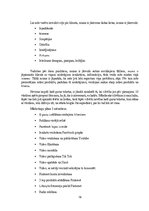 Prakses atskaite 'Uzņēmuma mārketinga izpēte un Stratēģiskā plānošana', 16.