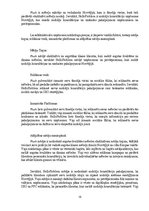 Prakses atskaite 'Uzņēmuma mārketinga izpēte un Stratēģiskā plānošana', 19.