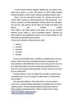 Referāts 'Zīmola nozīme patērētāju ietekmēšanā', 4.