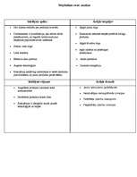 Konspekts 'Swot analīze', 1.