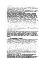 Referāts 'Fitness un anatomija', 3.