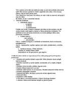 Konspekts 'Valsts eksāmens pedagoģijā', 3.