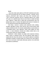 Referāts 'Menedžmenta izpēte SIA "Sportland"', 3.