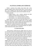 Referāts 'Menedžmenta izpēte SIA "Sportland"', 6.