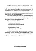 Referāts 'Menedžmenta izpēte SIA "Sportland"', 8.