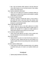 Referāts 'Menedžmenta izpēte SIA "Sportland"', 19.