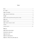 Referāts 'Eņģeļi - simbols', 2.