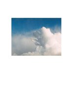 Referāts 'Eņģeļi - simbols', 37.