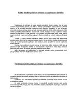 Prakses atskaite 'Apģērbu tirdzniecība', 5.