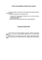 Prakses atskaite 'Apģērbu tirdzniecība', 8.