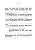 Referāts 'Izejvielu un materiālu krājumu analīze', 2.