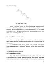 Referāts 'Pektīnu saturs ābolos', 8.