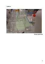 Referāts 'Pektīnu saturs ābolos', 25.