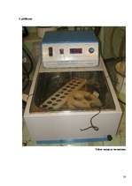 Referāts 'Pektīnu saturs ābolos', 26.