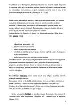 Referāts 'Teorija ap un par komunikāciju', 9.