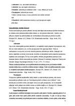 Referāts 'Teorija ap un par komunikāciju', 10.