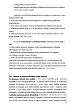 Referāts 'Teorija ap un par komunikāciju', 18.