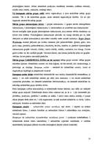 Referāts 'Teorija ap un par komunikāciju', 19.