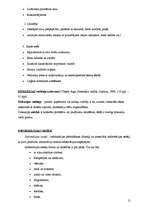 Referāts 'Teorija ap un par komunikāciju', 21.