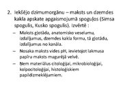 Prezentācija 'Izmeklēšanas metodes ginekoloģijā', 6.