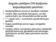 Prezentācija 'Izmeklēšanas metodes ginekoloģijā', 29.