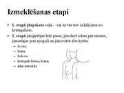 Prezentācija 'Izmeklēšanas metodes ginekoloģijā', 39.