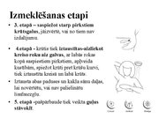 Prezentācija 'Izmeklēšanas metodes ginekoloģijā', 41.