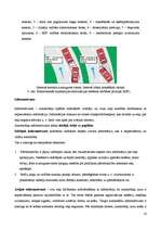 Referāts 'Aktīvā drošība', 10.