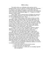 Referāts 'Metāli. Metāla apstrāde', 17.