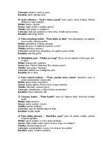 Paraugs 'Portfolio, metodiskā mape', 4.