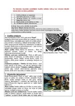 Paraugs 'Portfolio, metodiskā mape', 6.