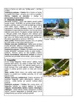 Paraugs 'Portfolio, metodiskā mape', 7.