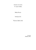 Referāts 'Virtuves iekārtu veidi', 1.