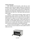 Referāts 'Virtuves iekārtu veidi', 4.