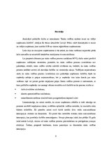 Eseja 'Recenzija par zinātnisko darbu "Risku vadības nozīme mazo un vidējo uzņēmumu dar', 3.
