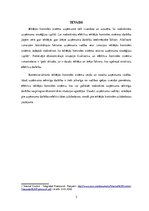 Referāts 'Iekšējā kontrole', 2.