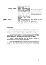 Konspekts 'Prakse sākumsskolā', 31.