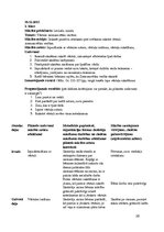 Konspekts 'Prakse sākumsskolā', 39.