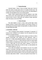 Referāts 'Latvijā dzīvojošo čigānu kultūra', 4.