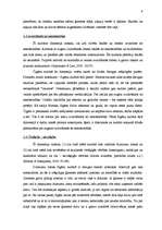 Referāts 'Latvijā dzīvojošo čigānu kultūra', 6.