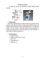 Konspekts 'Šokolādes ražošanas iekārtas', 10.