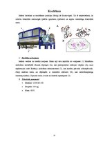 Konspekts 'Šokolādes ražošanas iekārtas', 13.