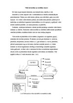 Referāts 'Apkārtējās vides piesārņošana un cīņa pret to', 6.