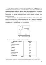 Biznesa plāns 'IU "Boņux"', 10.