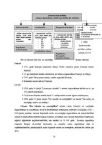 Diplomdarbs 'Akciju sabiedrības "Admirāļu klubs" darbības izvērtējums pašreizējos ekonomiskaj', 20.